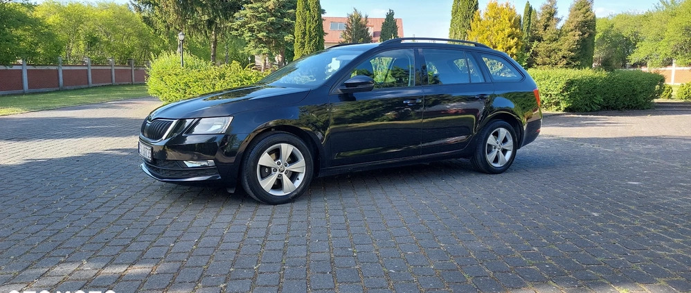 Skoda Octavia cena 44900 przebieg: 183500, rok produkcji 2018 z Sierpc małe 562